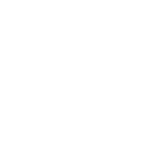 DroneIconWhite