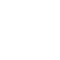 icon_drone