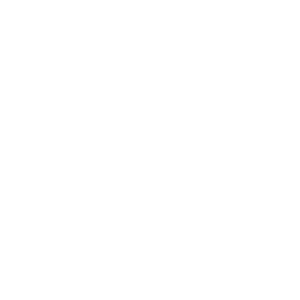 icon_drone