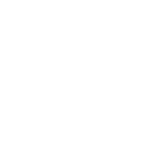 icon_pano