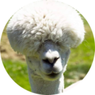 sweetjimmy Avatar